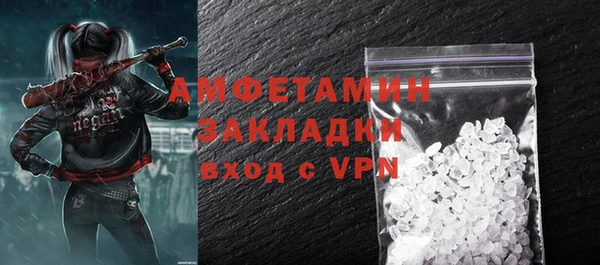 индика Осташков