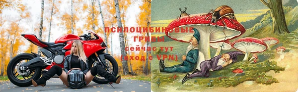 jwh Аркадак