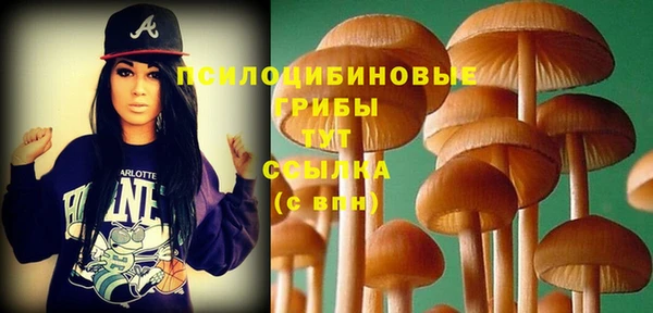 дурь Арсеньев