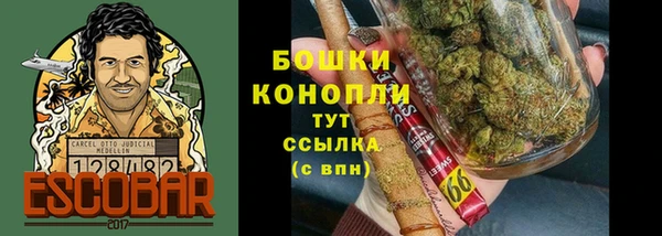 дурь Арсеньев