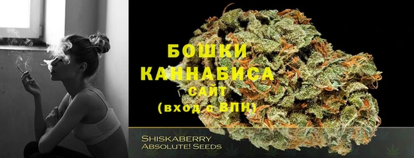 дурь Арсеньев