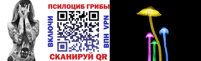 Галлюциногенные грибы Cubensis  где купить наркоту  Дорогобуж 